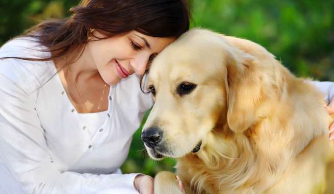 Cargas emocionales en nuestras mascotas
